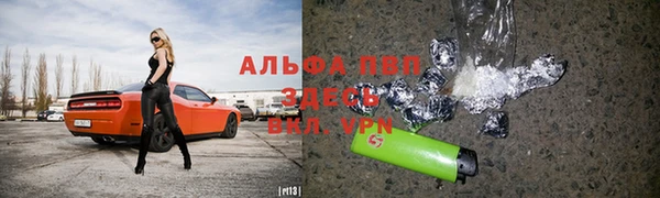 прущие крисы Белокуриха