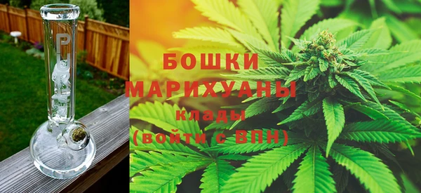 прущие крисы Белокуриха