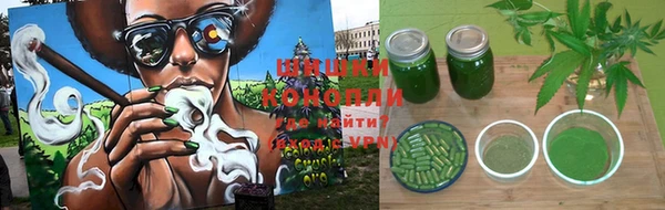 прущие крисы Белокуриха